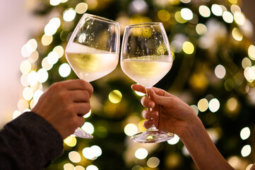 Toasting with wine glasses during festive occasion