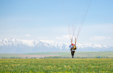 Skydiving. The landed parachutists collect the parachute canopy on the ground. Extreme sport and entertainment.