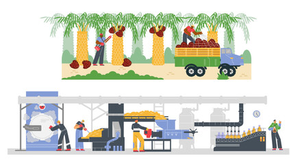 People harvesting palm oil fruits and work in factory flat style, vector illustration