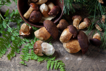 Imleria Badia or Boletus badius mushrooms commonly known as the bay bolete and Porcini mushroom commonly known as Boletus Edulis, clay bowl with mushrooms on vintage wooden background..