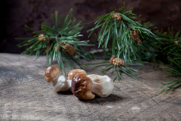 Porcini mushroom commonly known as Boletus Edulis on vintage wooden background..