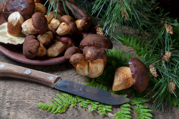 Imleria Badia or Boletus badius mushrooms commonly known as the bay bolete, clay plate with mushrooms and knife on vintage wooden background..