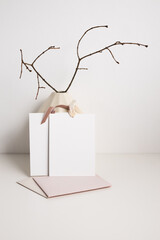 A pair of gift certificates in a porcelain vase with dry branches on a light background and...