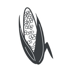 BBQ element of black line set. In this BBQ-themed illustration with bold black outlines, ear of corn is perfect to grills, adding a touch of summer flavor. Vector illustration.