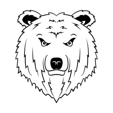 Bear head logo. Wildlife face icon. Teddybear symbol. Vector illustration image.