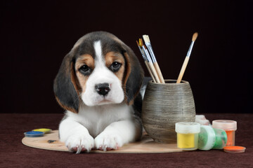 Cute little beagle puppy with brushes and paints