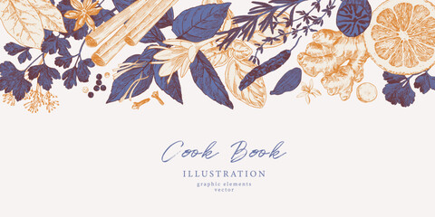 Hand drawn illustrations of spices and culinary herbs. Graphic elements for cook book design, restaurant menu and recipe sheets. Botanical and culinary illustration - 688590517