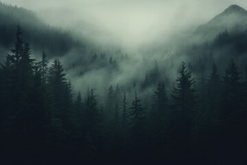 Mystical Fog Enveloping a Forested Mountain Landscape