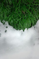 green grass under the snow. the grass is covered with the first snow. High angle view of snow covered field