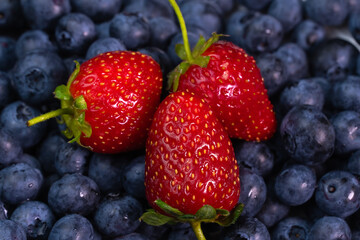 Ripe three strawberries on blue blueberries, macro photography. Beautiful berry bright background