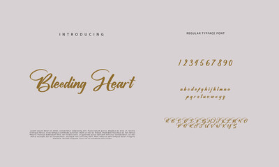 Signature font calligraphy logotype script brush font type font lettering handwritten