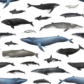 Watercolor whales seamless pattern isolated. Hand-drawn underwater ocean animals backdrop for fabric, packaging paper. Blue whale, sperm whale, fin whale, gray whale, killer whale, humpback, narwhal