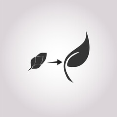 Transformation icon. From a bud to a leaf. Simple line Transformation icon for templates, web design and infographics