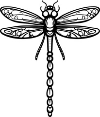 dragonfly cartoon 