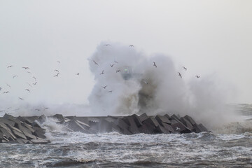 Splashing waves against the lighthouse and seagulls flying around it.