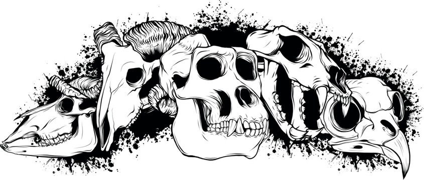 animal skull group vector illustration outline design