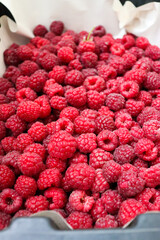 Raspberry texture. Beautiful raspberries. raspberries in a bowl