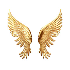 Obraz premium Golden angel wings isolated