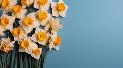 banner with narcissus flower on a light blue background. Greeting card template for wedding, mother's day or women's day. Spring composition with copy space. Flat style