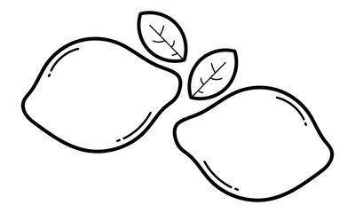 Hand drawn lime on white background with food and nature theme