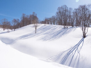 冬の雪原