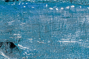 Wood texture tree bark blue and black colour. background texture