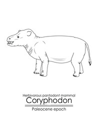 Prehistoric herbivorous pantodont mammal Coryphodon, a Paleocene period creature. Paleocene period followed after the extinction of the dinosaurs. Black and white line art, perfect for coloring and ed