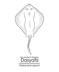 An ancient stingray Dasyatis, a Paleocene epoch creature. Paleocene epoch followed after the extinction of the dinosaurs. Black and white line art, perfect for coloring and educational purposes.