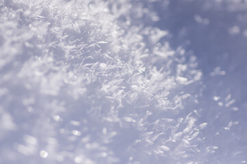 パウダースノーの贈り物