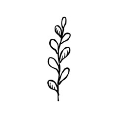 Twig with leaves hand drawn in a minimalist style. Sketch of a branch isolated on a white background. Decorative element. Vector illustration.