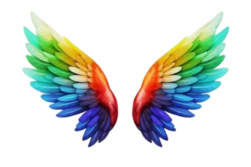 Fotobehang Rainbow angel wings isolated © Daria