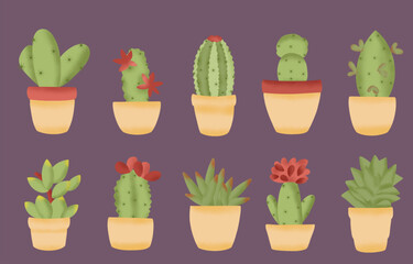 set of cactus flowers