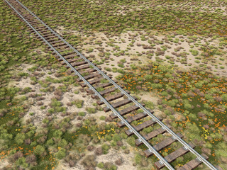 Schienenstrang in einer Landschaft