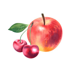 Red-orange apple and cherry on a white background. Watercolor illustration. Healthy and baby food. juicy, ripe fruit. Template for postcards, stickers, icons.