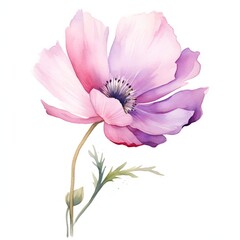 Obraz premium Watercolor wildflower and herb bouquets