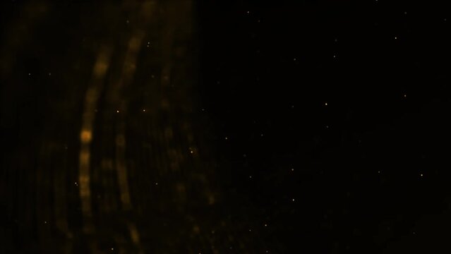Abstract luxury background with golden lines on black background. Gold polygonal random network shine glitter design. Premium minimal animated banner. Modern seamless looped animation. Dark royal BG