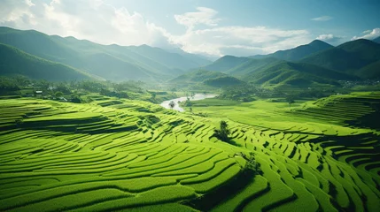 Fotobehang Green rice terraces in Asian countries © hakule