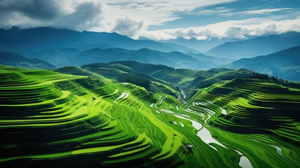 Foto op Canvas Green rice terraces in Asian countries © hakule