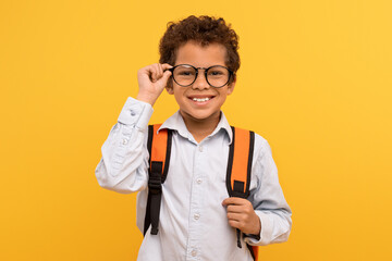Smart boy with glasses, white shirt, backpack