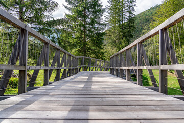 Fototapeta premium Wooden walking trail for recreation through the forest to the nearby hills, Bohinj, Triglav national park, Slovenia