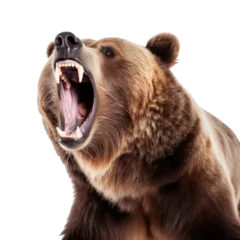 Foto auf Glas a grizzly bear roar isolated on transparent background or white background. © Pongsapak