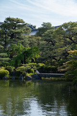 Naklejka na ściany i meble Kyoto garden
