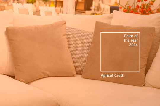 Close up light fabric sofa with warm cozy cushions with home interior background. Image toned in trendy color of year 2024 Apricot Crush. Orange pillow on sofa room decoration background