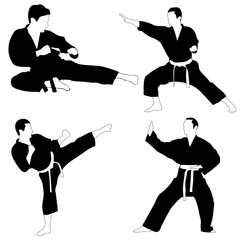 set of karate silhouettes, martial arts concept, on white background © KBL Sungkid