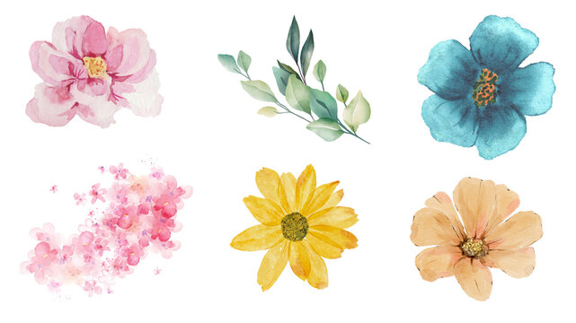 Colorful leaves and plants in watercolor. Greens, Jasmine and roses. Transparent background. Resource in png.