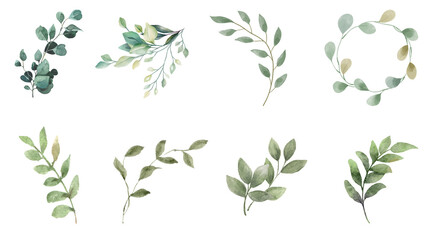 Fototapeta na wymiar Colorful leaves and plants in watercolor. Greens, Jasmine and roses. Transparent background. Resource in png.