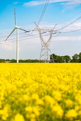 Wind turbine and high-voltage lines on yellow rapeseed fields. Photo taken on a sunny day.
