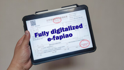 E-Invoicing in China 2023: Fully Digitalized E-invoicing(E-Fapiao) Program Expanded Nationwide,Definitions of 增值税电子普通发票：Fully Digitalized E-invoicing(E-Fapiao)