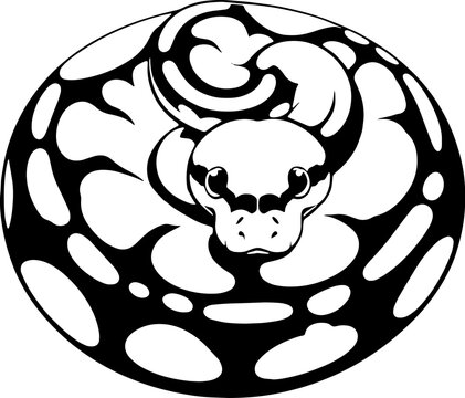 Orange Dream Ball Python icon