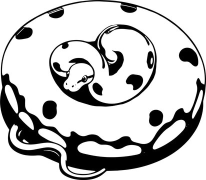 Orange Dream Ball Python icon 5